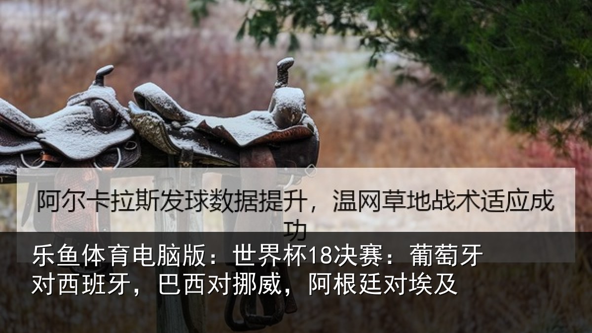 乐鱼体育电脑版：世界杯18决赛：葡萄牙对西班牙，巴西对挪威，阿根廷对埃及